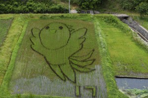 たんとう田んぼアート