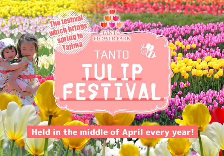 Tanto Tulip Festival