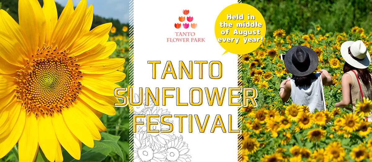 Sunflower Festival