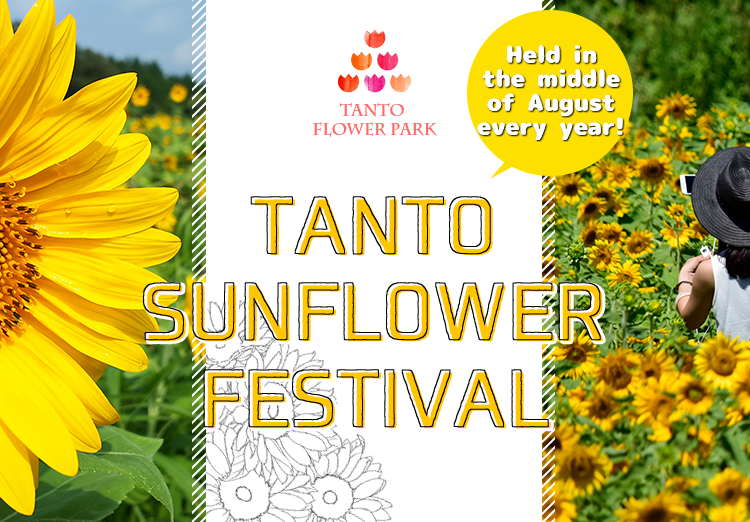 Sunflower Festival