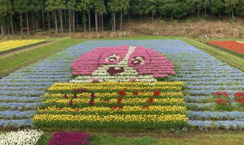 2026たんとうチューリップまつり